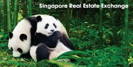 SRX.COM.SG