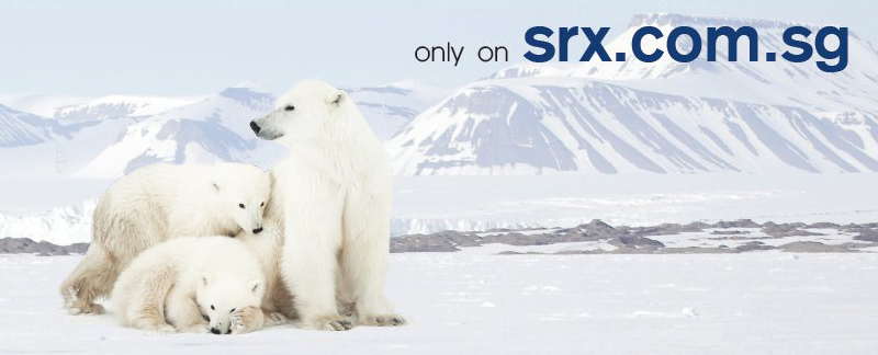 SRX.COM.SG